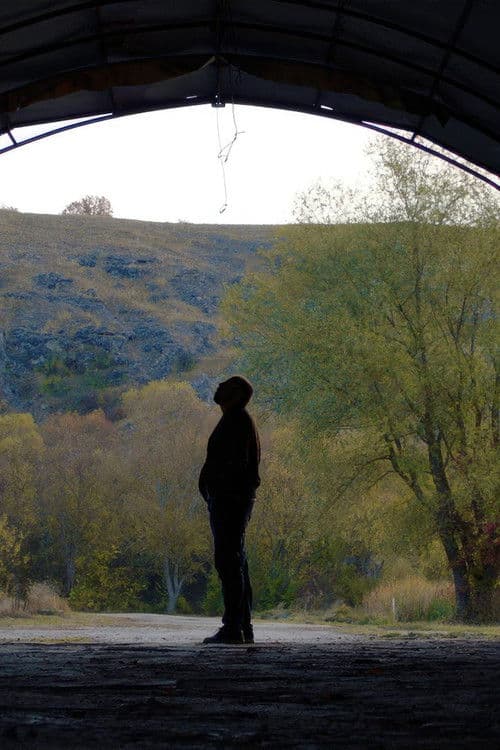 As You Wanted poster