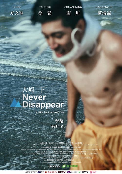 Never Disappear poster