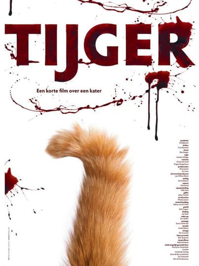 Tijger poster