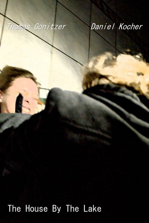 The House By The Lake poster