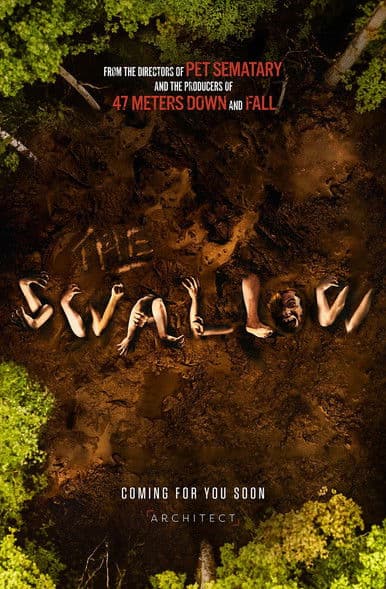 The Swallow poster