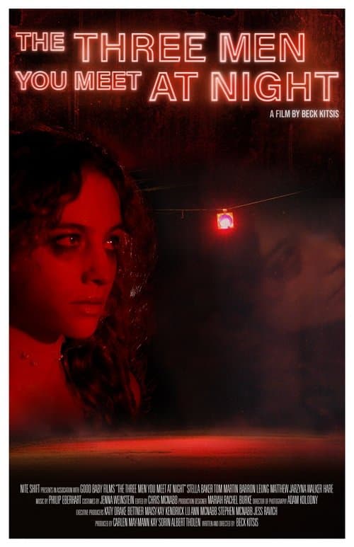 The Three Men You Meet at Night poster