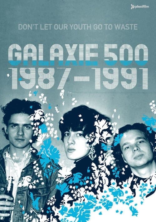 Galaxie 500: Don't Let Our Youth Go to Waste poster