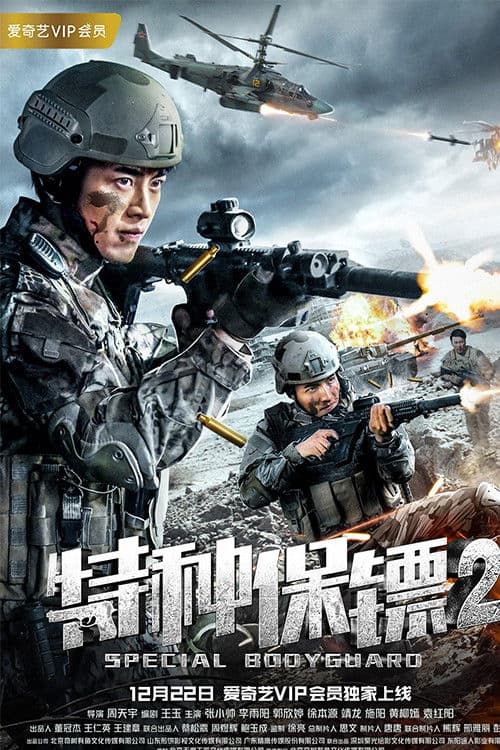 特种保镖2 poster