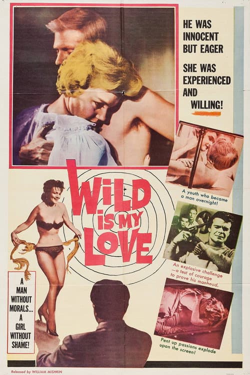 Wild Is My Love poster