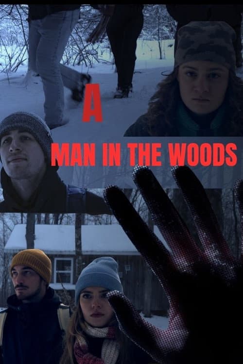 A Man in The Woods poster