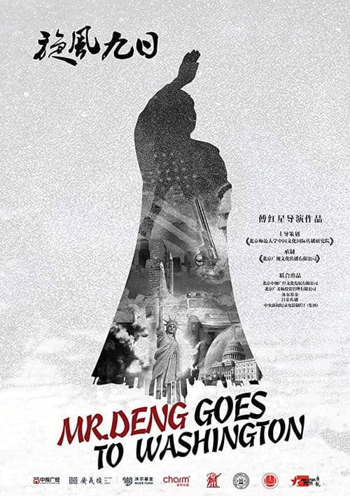 Mr. Deng Goes to Washington poster
