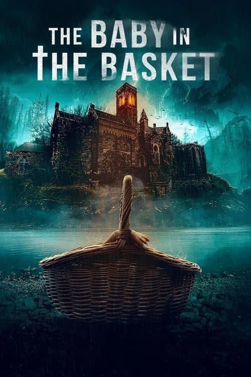 The Baby in the Basket poster