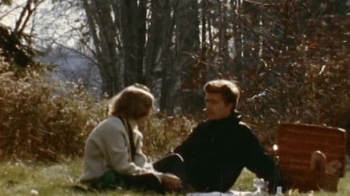 End of a Summer Day poster