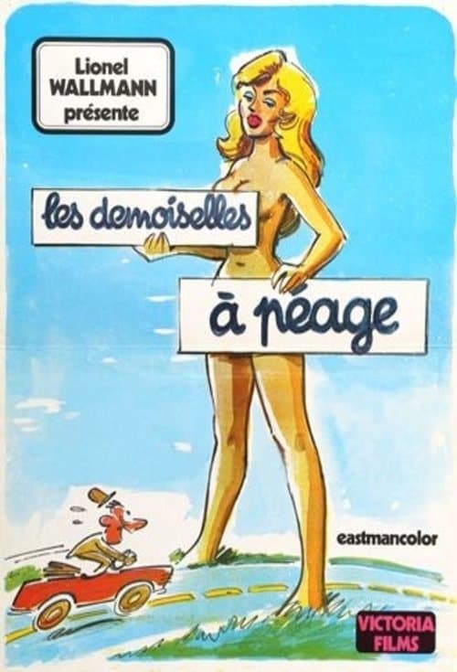Les Demoiselles à péage poster