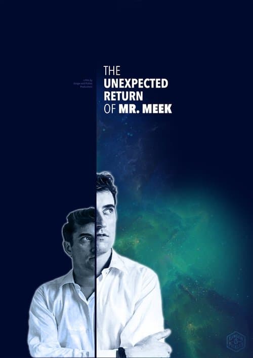 The Unexpected Return of Mr. Meek poster
