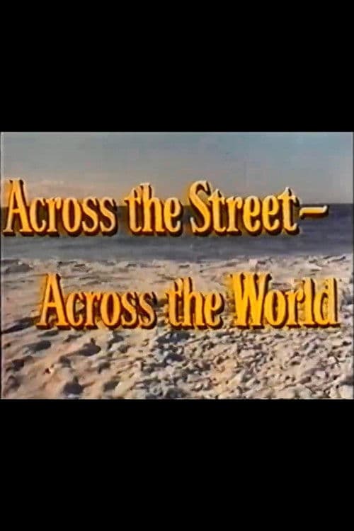Across the Street—Across the World poster