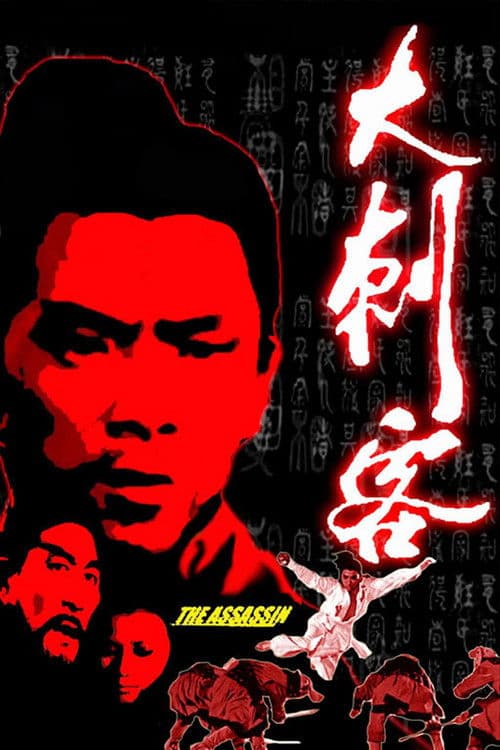 The Assassin poster