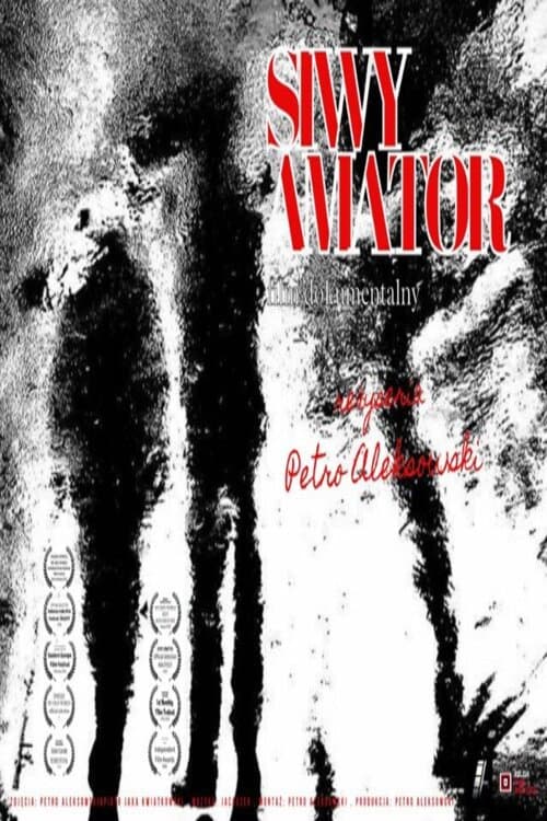 Siwy amator poster