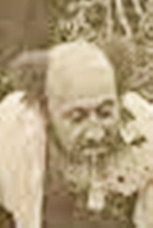 David Camargo profile photo