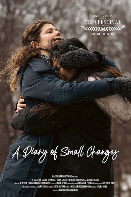 A Diary of Small Changes poster