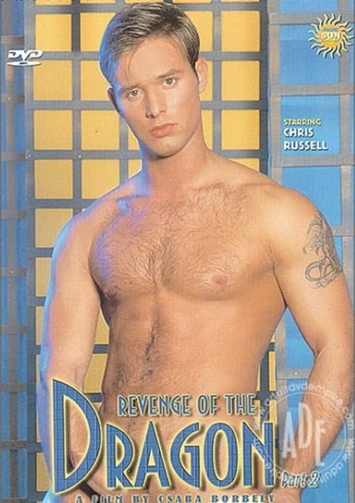 Revenge of the Dragon 2 poster