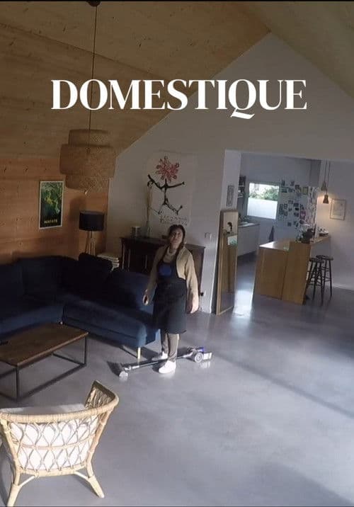 Domestique poster