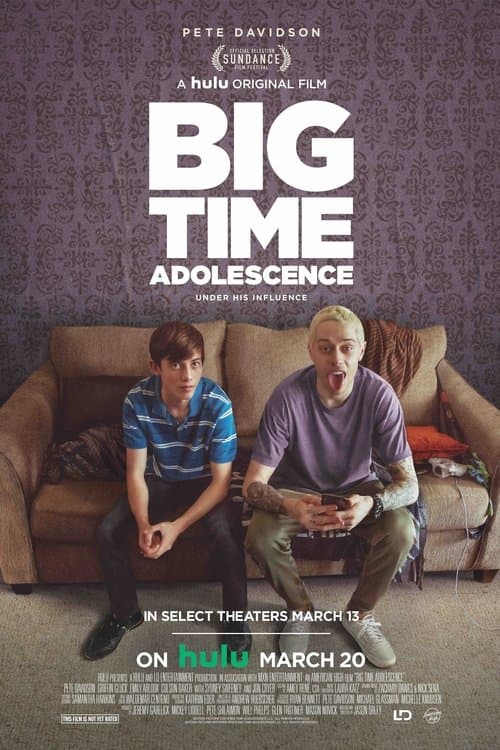 Big Time Adolescence poster