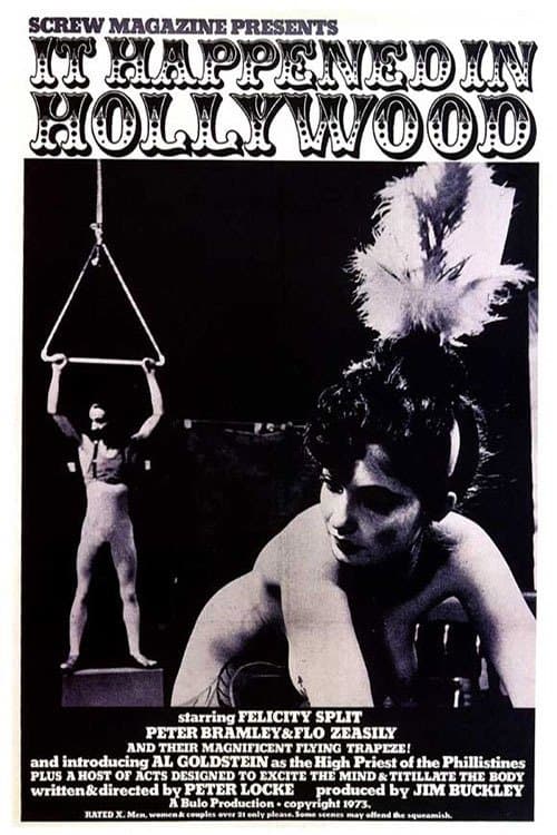 It Happened in Hollywood poster