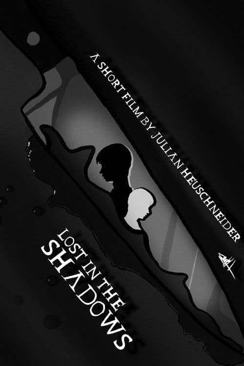 Lost In The Shadows poster