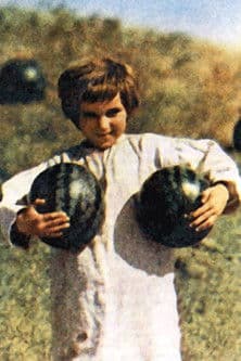 Oleksandr Sergienko profile photo