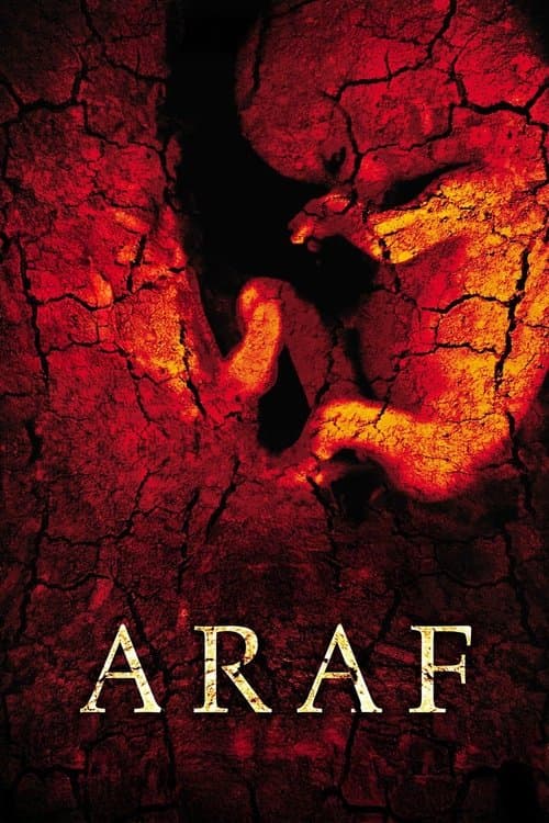 Araf poster