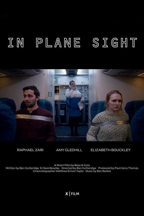 In Plane Sight poster