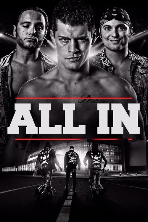 All In poster