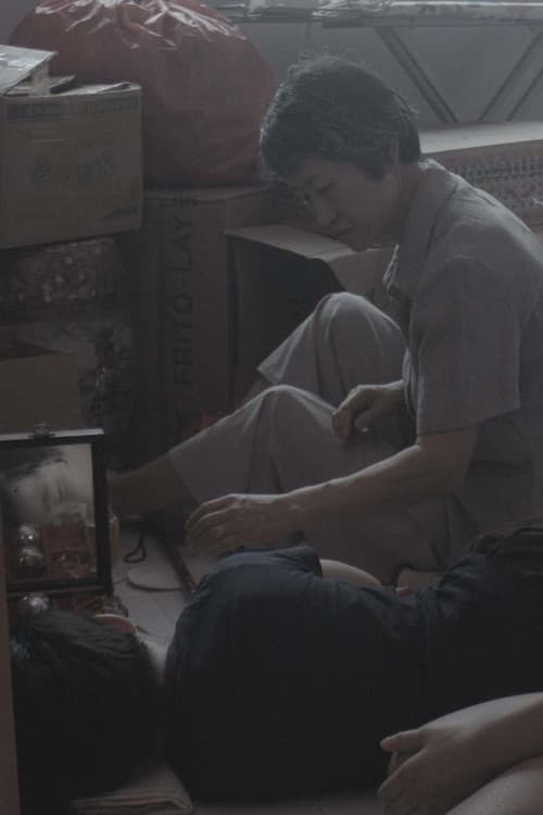 Flower Shadow Serenade poster