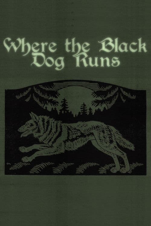 Where the Black Dog Runs poster