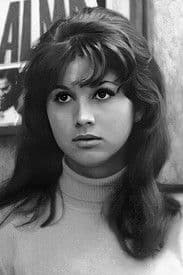 Vera Vianna profile photo