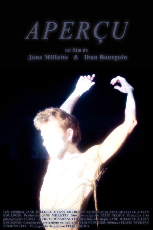 Aperçu poster