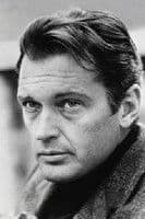 Arthur Hansel profile photo