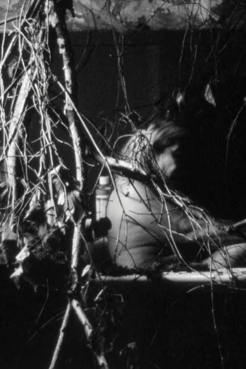 Days of doubt poster