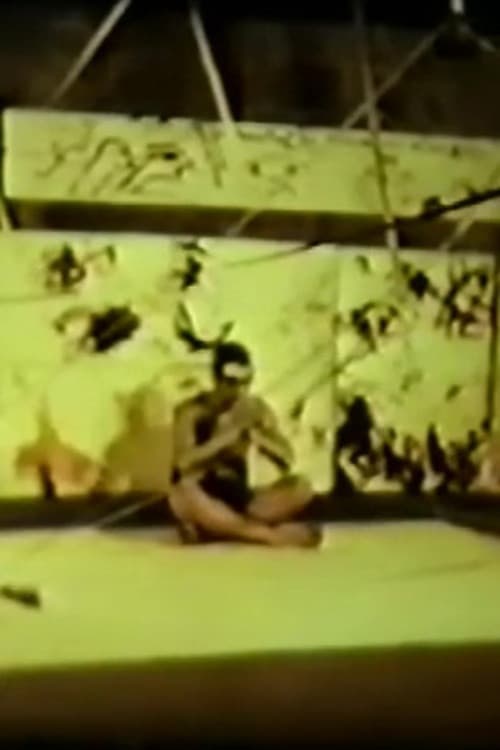 The Girl and Buda poster