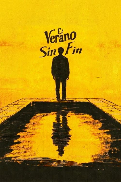 El verano sin fin poster