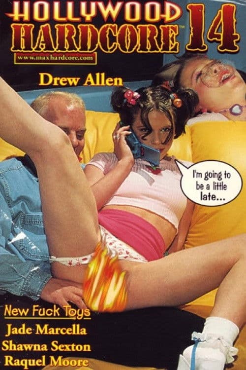Hollywood Hardcore 14 poster