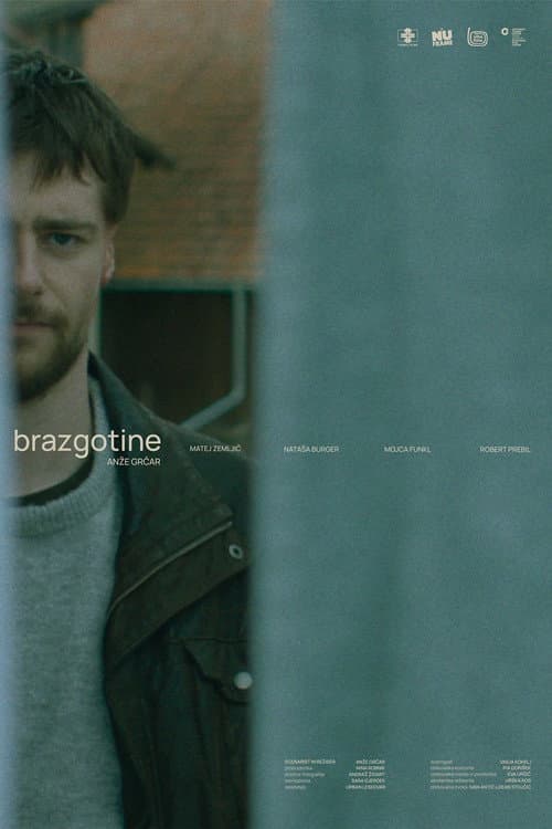 Brazgotine poster