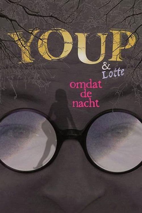 Youp van 't Hek: Omdat De Nacht poster