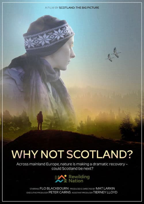 Why Not Scotland? poster