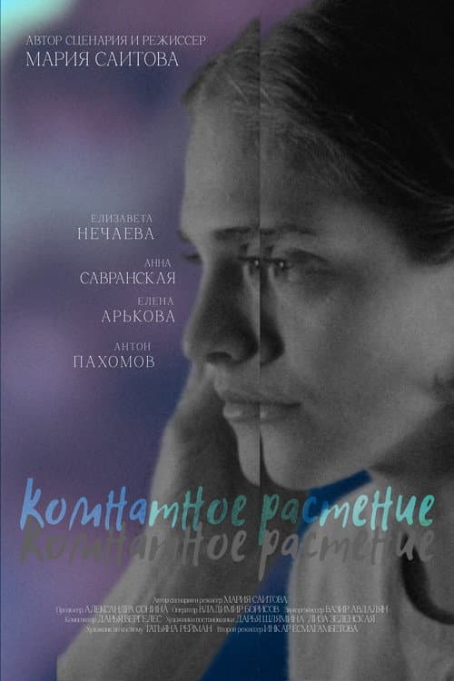 Комнатное растение poster