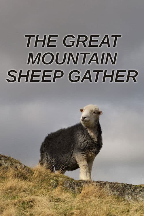 The Great Mountain Sheep Gather poster