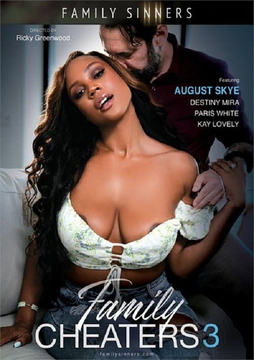 Family Cheaters 3 poster