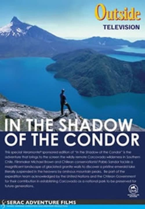 In the Shadow of the Condor poster