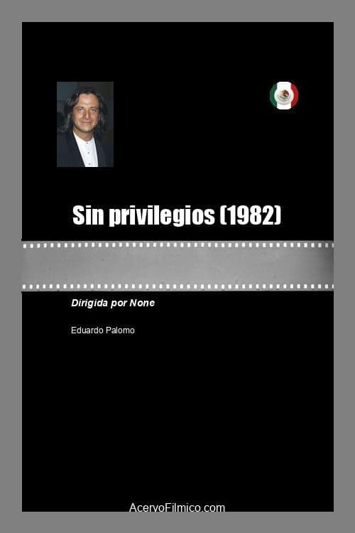 Sin privilegios poster