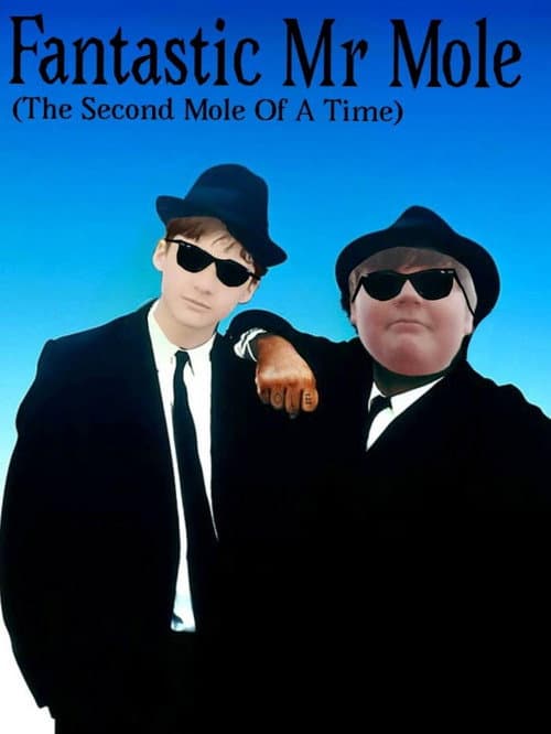 Fantastic Mr. Mole poster