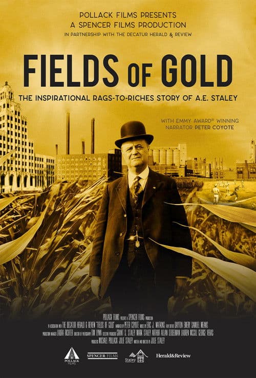Fields of Gold poster
