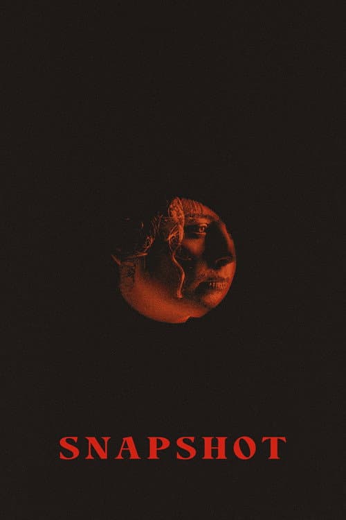 Snapshot poster