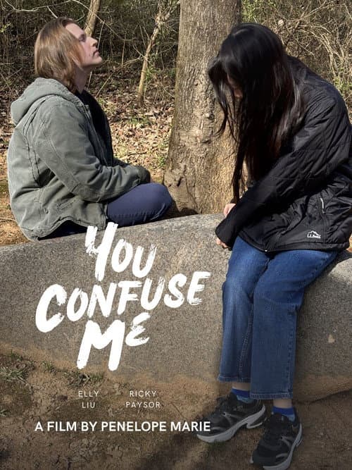 You Confuse Me poster
